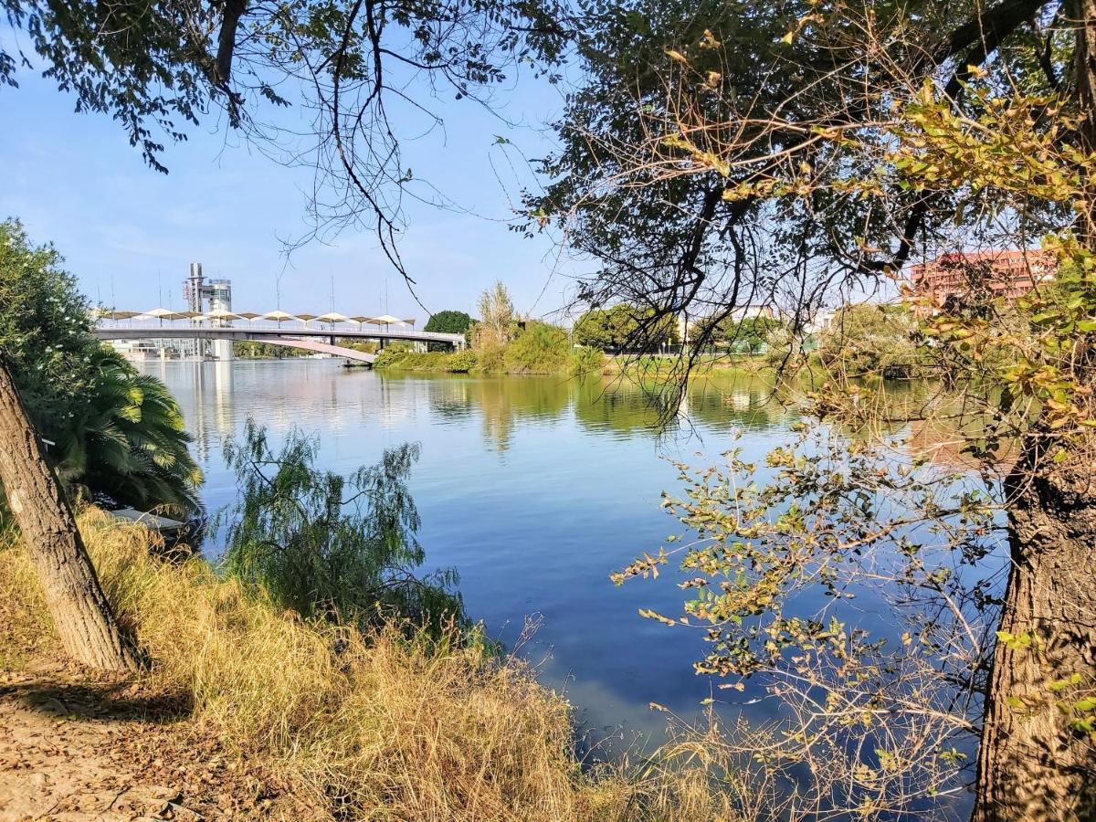 Triana Procurador Con Terraza Privada Apartman Sevilla Kültér fotó